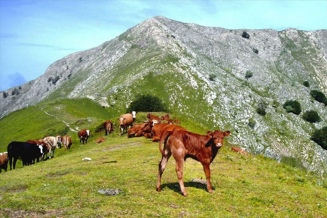 Casa Bel Βίλα Pescaglia Εξωτερικό φωτογραφία